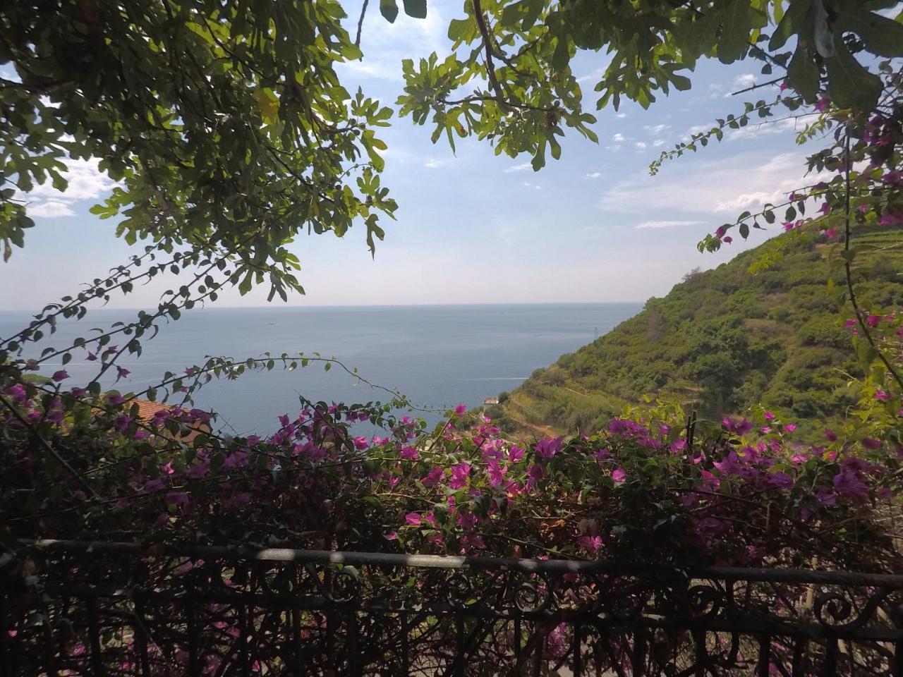 Cinqueterre Holidays Riomaggiore Kültér fotó