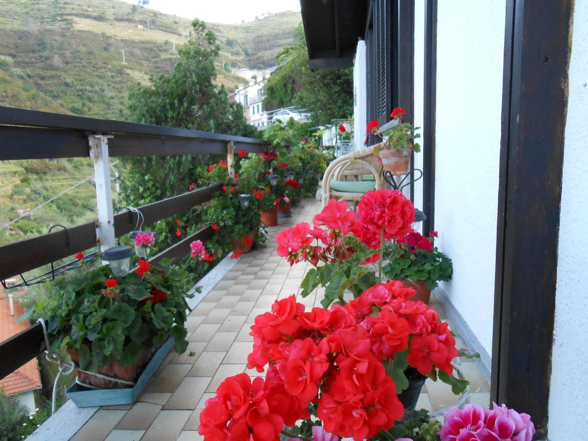 Cinqueterre Holidays Riomaggiore Kültér fotó